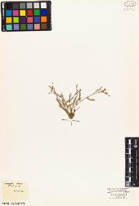 SW_BNB_s3010-03941_IMG-0000000001