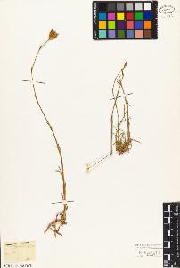 SW_BNB_s3010-03944_IMG-0000000001