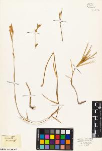 SW_BNB_s3010-03945_IMG-0000000001