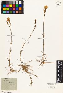 SW_BNB_s3010-03947_IMG-0000000001