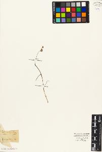SW_BNB_s3010-03948_IMG-0000000001