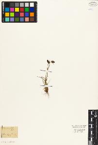 SW_BNB_s3010-03950_IMG-0000000001
