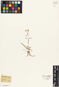 SW_BNB_s3010-03951_IMG-0000000001