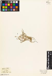 SW_BNB_s3010-03956_IMG-0000000001