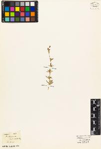 SW_BNB_s3010-03957_IMG-0000000001