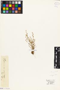SW_BNB_s3010-03958_IMG-0000000001