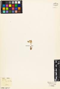 SW_BNB_s3010-03960_IMG-0000000001