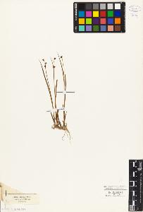 SW_BNB_s3010-03962_IMG-0000000001