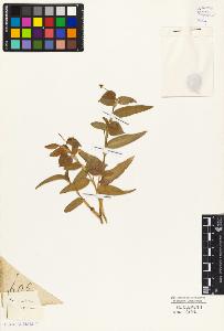 SW_BNB_s3010-03963_IMG-0000000001
