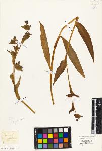 SW_BNB_s3010-03964_IMG-0000000001