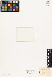 SW_BNB_s3010-03965_IMG-0000000001