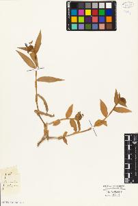 SW_BNB_s3010-03967_IMG-0000000001