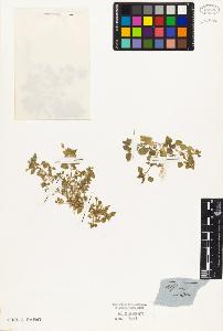 SW_BNB_s3010-03976_IMG-0000000001
