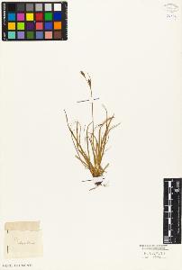 SW_BNB_s3010-03977_IMG-0000000001