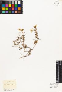 SW_BNB_s3010-03979_IMG-0000000001