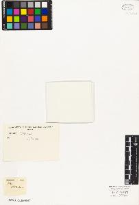 SW_BNB_s3010-03980_IMG-0000000001