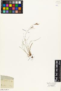 SW_BNB_s3010-03982_IMG-0000000001