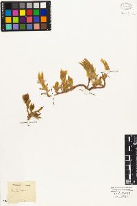 SW_BNB_s3010-03985_IMG-0000000001