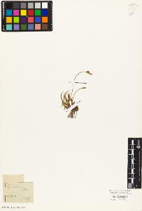 SW_BNB_s3010-03987_IMG-0000000001