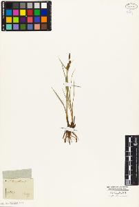 SW_BNB_s3010-03989_IMG-0000000001