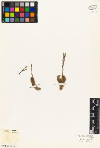 SW_BNB_s3010-03992_IMG-0000000001