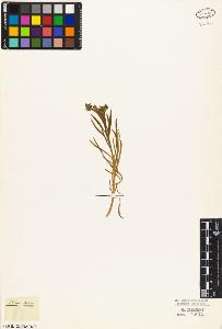 SW_BNB_s3010-03993_IMG-0000000001