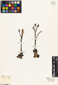 SW_BNB_s3010-03994_IMG-0000000001