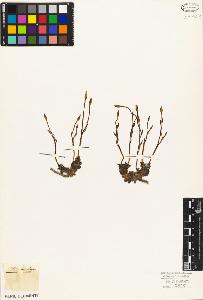 SW_BNB_s3010-03995_IMG-0000000001