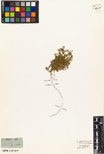 SW_BNB_s3010-03997_IMG-0000000001