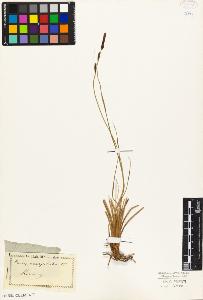 SW_BNB_s3010-03998_IMG-0000000001