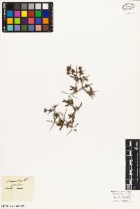 SW_BNB_s3010-04001_IMG-0000000001