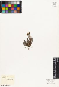 SW_BNB_s3010-04003_IMG-0000000001