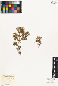 SW_BNB_s3010-04004_IMG-0000000001