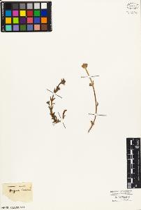 SW_BNB_s3010-04006_IMG-0000000001