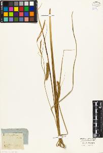 SW_BNB_s3010-04007_IMG-0000000001
