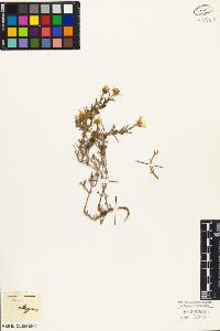 SW_BNB_s3010-04008_IMG-0000000001