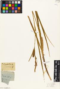 SW_BNB_s3010-04012_IMG-0000000001