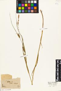 SW_BNB_s3010-04013_IMG-0000000001