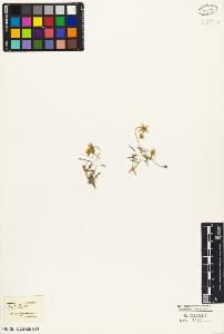 SW_BNB_s3010-04014_IMG-0000000001