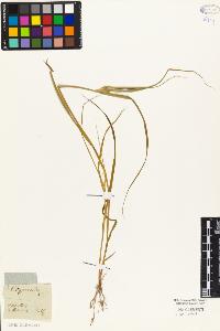 SW_BNB_s3010-04016_IMG-0000000001