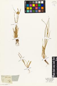 SW_BNB_s3010-04018_IMG-0000000001