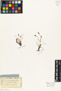 SW_BNB_s3010-04019_IMG-0000000001