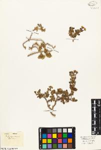 SW_BNB_s3010-04021_IMG-0000000001