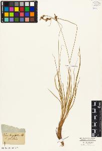 SW_BNB_s3010-04027_IMG-0000000001