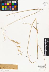 SW_BNB_s3010-04029_IMG-0000000001
