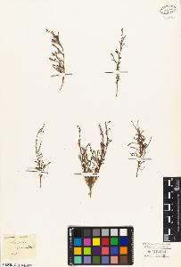 SW_BNB_s3010-04031_IMG-0000000001