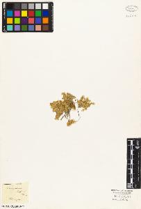SW_BNB_s3010-04032_IMG-0000000001