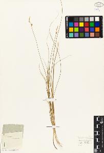 SW_BNB_s3010-04033_IMG-0000000001