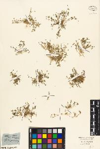 SW_BNB_s3010-04035_IMG-0000000001