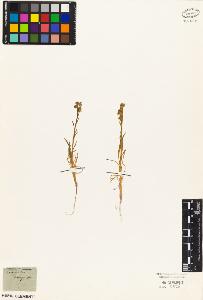 SW_BNB_s3010-04045_IMG-0000000001